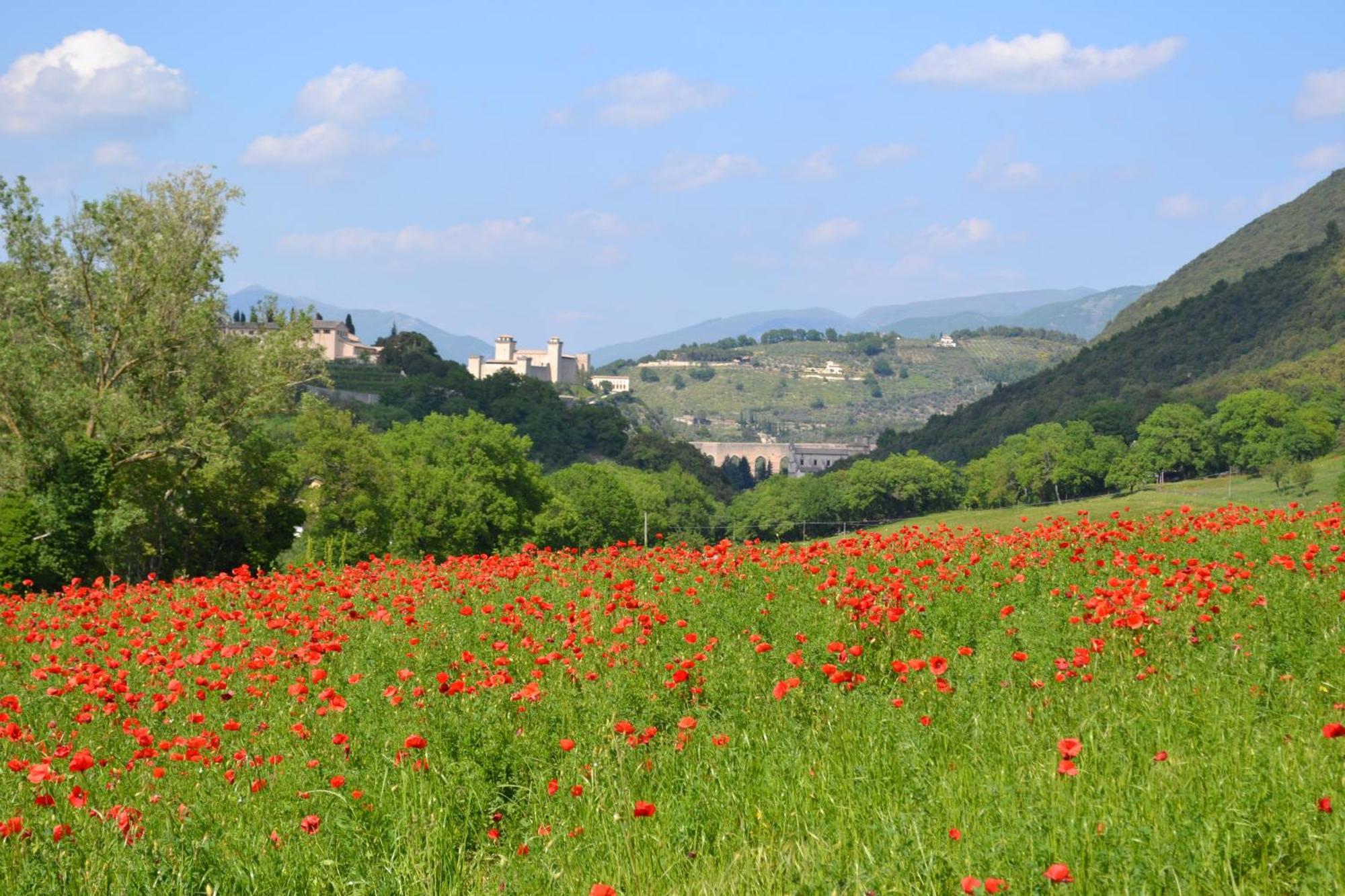 Valle Rosa Spoleto Zewnętrze zdjęcie