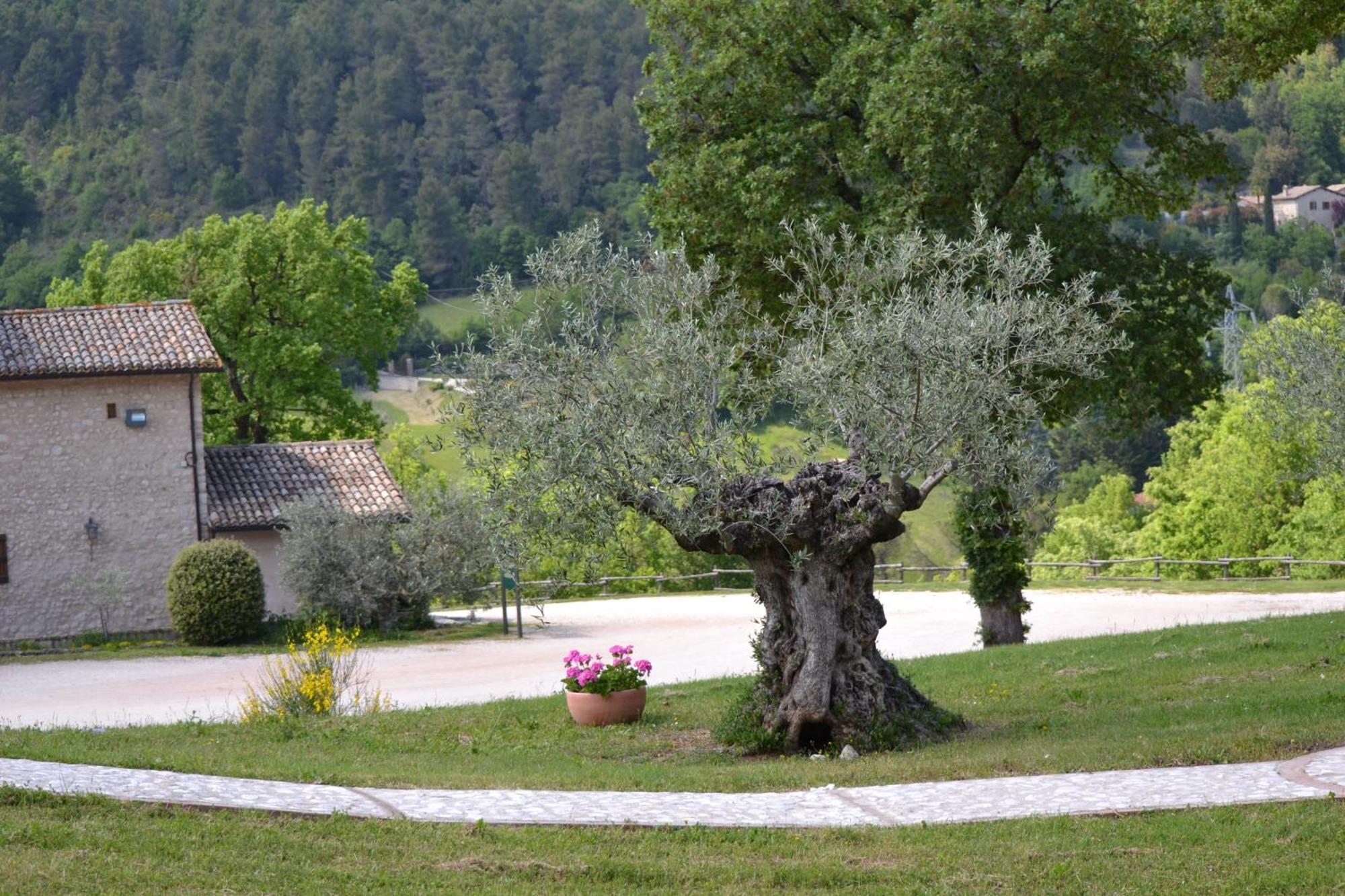 Valle Rosa Spoleto Zewnętrze zdjęcie